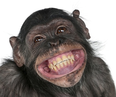 mono sonriendo